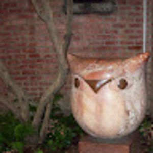 Meet your Posher, Jade